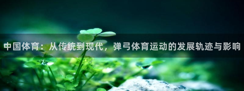 球王会体育：中国体育：从传统到现代，弹弓体育运动的发展轨迹与影响