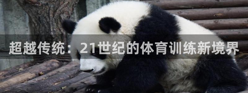 球王会体育：超越传统：21世纪的体育训练新境界