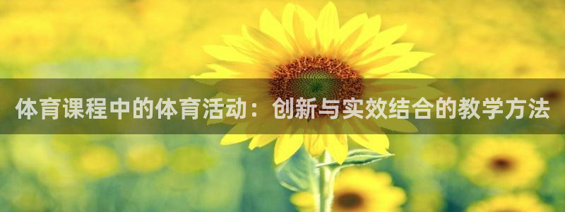 球王会体育：体育课程中的体育活动：创新与实效结合的教学方法