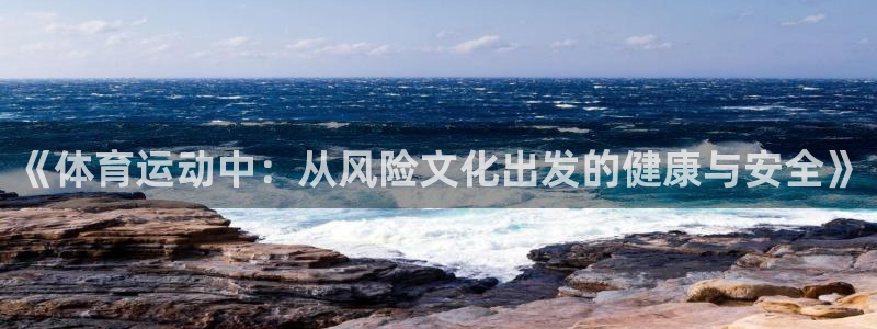 球王会体育：《体育运动中：从风险文化出发的健康与安全》