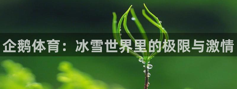 球王会体育