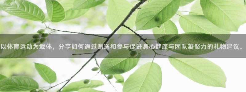 球王会体育