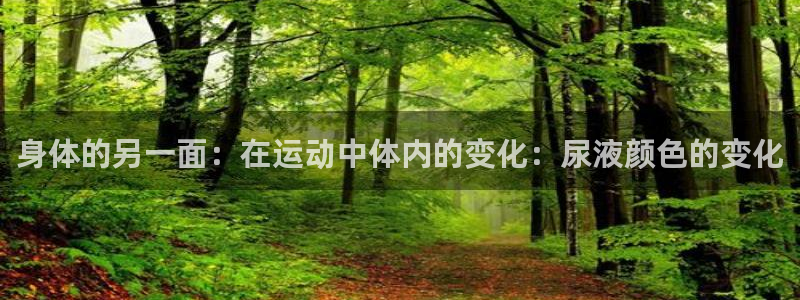 球王会体育