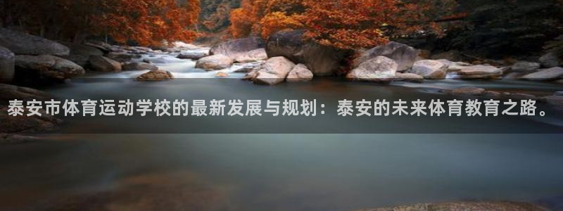 球王会体育：泰安市体育运动学校的最新发展与规划：泰安的未来体育教育之路。