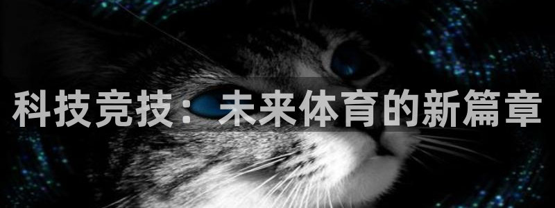 球王会体育