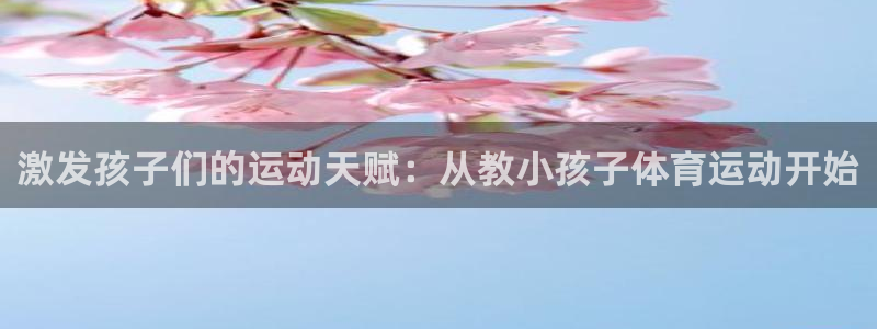 球王会体育